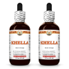 Khella (Ammi Visnaga) 2x2 Oz