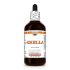 Khella (Ammi Visnaga) 4 Oz