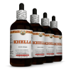Khella (Ammi Visnaga) 4x4 Oz