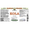 Kola (Cola Nitida) Tincture, Wildcrafted Dried Whole Nut ALCOHOL-FREE Liquid Extract