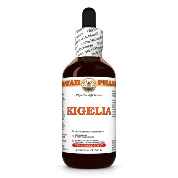 Kigelia Africana · Samen, alkoholische Tinktur
