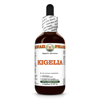 Kigelia Africana · Samen, alkoholfreier Extrakt, nur zur äußeren Anwendung