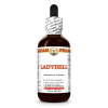 Ladybell (Adenophora Triphylla) 2 Oz