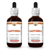 Ladybell (Adenophora Triphylla) 2x2 Oz