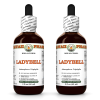 Ladybell (Adenophora Triphylla) 2x2 Oz