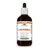 Ladybell (Adenophora Triphylla) 4 Oz