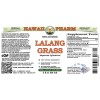 Lalang Grass, Cogongrass (Imperata Cylindrica) Tincture, Dried Rhizome ALCOHOL-FREE Liquid Extract, Lalang Grass, Glycerite Herbal Supplement