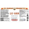 Lu Gen Liquid Extract, Lu Gen, Reed (Phragmites Communis) Root Tincture