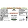 Liverwort (Radula Marginata) Tincture, Dried Herb ALCOHOL-FREE Liquid Extract