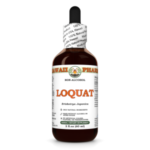 Loquat Liquid Extract, Dried leaf (Eriobotrya Japonica) Alcohol-Free Glycerite