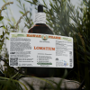 Lomatium Alcohol-FREE Liquid Extract, Lomatium (Lomatium Dissectum) Dried Root Glycerite