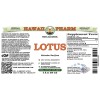 Lotus (Nelumbo Nucifera) Tincture, Dried Root ALCOHOL-FREE Liquid Extract, Lotus, Glycerite Herbal Supplement
