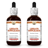 Lineate Supplejack (Berchemia Lineata) 2x2 Oz