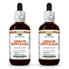 Lineate Supplejack (Berchemia Lineata) 2x2 Oz