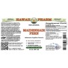 Maidenhair Fern Alcohol-FREE Liquid Extract, Maidenhair Fern (Adiantum Capillus Veneris) Dried Herb Glycerite