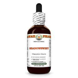 Meadowsweet Alcohol-FREE Liquid Extract, Meadowsweet (Filipendula Ulmaria) Leaf Glycerite