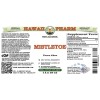 Mistletoe Alcohol-FREE Liquid Extract, Organic Mistletoe (Viscum album) Dried Herb Glycerite
