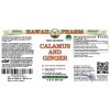 Calamus and Ginger Alcohol-FREE Herbal Liquid Extract, Organic Calamus and Organic Ginger Dried Root Glycerite