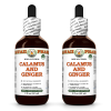 Calamus and Ginger Alcohol-FREE Herbal Liquid Extract, Organic Calamus and Organic Ginger Dried Root Glycerite 2x2 Oz