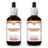 Cholesterol Formula Liquid Extract, Hawthorn berry, Psyllium husk, Olive leaf Tincture Herbal Supplement 2x2 Oz