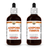 Adipose Tissue Support Liquid Extract, Echinacea Dried Root, Gotu Kola Dried Leaf, Thyme Dried Herb Tincture Herbal Supplement 2x4 Oz