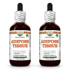Adipose Tissue Support Alcohol-FREE Herbal Liquid Extract, Echinacea Dried Root, Gotu Kola Dried Leaf, Thyme Dried Herb Glycerite 2x2 Oz