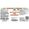 Eucalyptus and Spearmint Alcohol-FREE Herbal Liquid Extract, Eucalyptus Leaf, Spearmint Leaf Glycerite