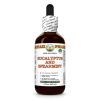 Eucalyptus and Spearmint Alcohol-FREE Herbal Liquid Extract, Eucalyptus Leaf, Spearmint Leaf Glycerite 2 Oz