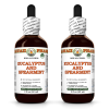 Eucalyptus and Spearmint Alcohol-FREE Herbal Liquid Extract, Eucalyptus Leaf, Spearmint Leaf Glycerite 2x2 Oz