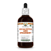 Eucalyptus and Spearmint Alcohol-FREE Herbal Liquid Extract, Eucalyptus Leaf, Spearmint Leaf Glycerite 4 Oz