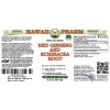 Ginseng and Echinacea Alcohol-FREE Herbal Liquid Extract, Red Ginseng Dried Root, Echinacea Dried Root Glycerite
