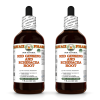 Ginseng and Echinacea Alcohol-FREE Herbal Liquid Extract, Red Ginseng Dried Root, Echinacea Dried Root Glycerite 2x4 Oz