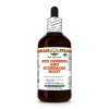 Ginseng and Echinacea Alcohol-FREE Herbal Liquid Extract, Red Ginseng Dried Root, Echinacea Dried Root Glycerite 4 Oz