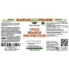 Cold Season Protection Alcohol-FREE Herbal Liquid Extract, Eucalyptus leaf, Peppermint leaf, Goldenseal root Glycerite