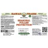 Seasonal Pollen Protection Alcohol-FREE Herbal Liquid Extract, Stinging Nettle and Astragalus Glycerite