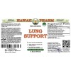 Lung Support Alcohol-FREE Herbal Liquid Extract, Elecampane, Horehound, Ginger, Pleurisy root Glycerite