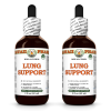 Lung Support Alcohol-FREE Herbal Liquid Extract, Elecampane, Horehound, Ginger, Pleurisy root Glycerite 2x2 Oz