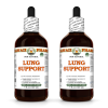 Lung Support Alcohol-FREE Herbal Liquid Extract, Elecampane, Horehound, Ginger, Pleurisy root Glycerite 2x4 Oz