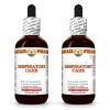 Respiratory Care Liquid Extract, Licorice Dried Root, Red Ginseng Dried Root, Ginger Dried Root Tincture Herbal Supplement 2x2 Oz