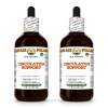 Circulation Support Alcohol-FREE Herbal Liquid Extract, Garlic, Ginkgo, Eleuthero Glycerite 2x4 Oz
