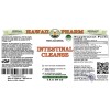 Intestinal Cleanse Alcohol-FREE Herbal Liquid Extract, Cranberry, Garlic, Black Walnut, Papaya, Pau D'Arco, Pumpkin Glycerite