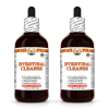 Intestinal Cleanse Liquid Extract, Cranberry, Garlic, Black Walnut, Papaya, Pau D'Arco, Pumpkin Tincture Herbal Supplement 2x4 Oz
