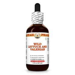 Wild Lettuce And Valerian Liquid Extract, Wild Lettuce herb, Valerian root Tincture Herbal Supplement