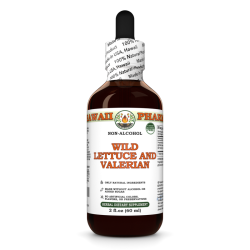 Wild Lettuce And Valerian Alcohol-FREE Herbal Liquid Extract, Wild Lettuce herb, Valerian root Glycerite