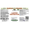 Larynx Protector Alcohol-FREE Herbal Liquid Extract, Eucalyptus Dried Leaf, Slippery Elm Dried Bark, Peppermint Dried Leaf Glycerite