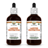 Larynx Protector Alcohol-FREE Herbal Liquid Extract, Eucalyptus Dried Leaf, Slippery Elm Dried Bark, Peppermint Dried Leaf Glycerite 2x4 Oz
