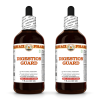 Digestion Guard Liquid Extract, Cinnamon bark, Fennel seed, Rosemary leaf, Peppermint leaf, Dill seed, Psyllium husk, Turmeric rhizome Tincture Herbal Supplement 2x4 Oz