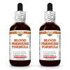 Blood Pressure Formula Liquid Extract, Hibiscus flower, Reishi mushroom, Garlic bulb Tincture Herbal Supplement 2x2 Oz