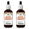 Blood Pressure Formula Alcohol-FREE Herbal Liquid Extract, Hibiscus flower, Reishi mushroom, Garlic bulb Glycerite 2x2 Oz