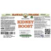 Kidney Boost Alcohol-FREE Herbal Liquid Extract, Dandelion, Chanca Piedra, Horsetail, Uva Ursi, Usnea, Cranberry Glycerite